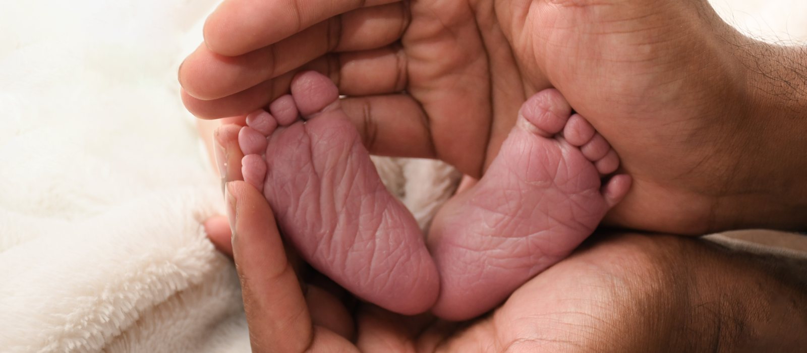 A newborn cradled in an adult's hands